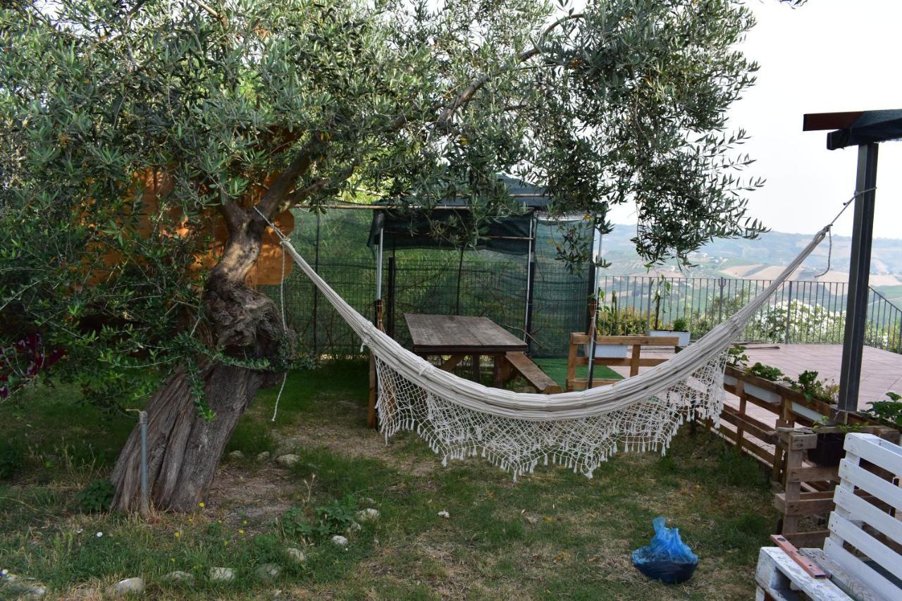La Villa In Campagna Citta Sant'Angelo Extérieur photo